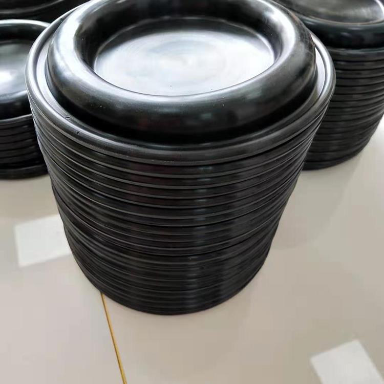 মধ্যচ্ছদা diaphragm